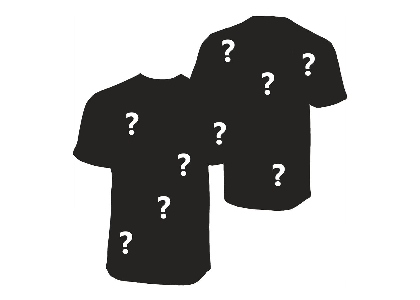 VGG Mystery Bundle Shirts (2 random shirts)